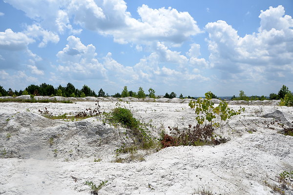 VULCAN STOCKBRIDGE QUARRY (2015)