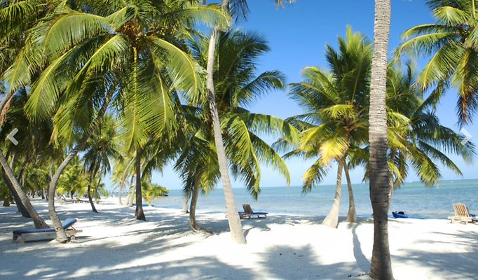 Screen Shot 2022-06-23 at 12.30.38 PM