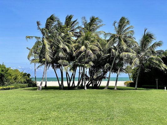 ISLANDER RESORT, FLORIDA  KEYS