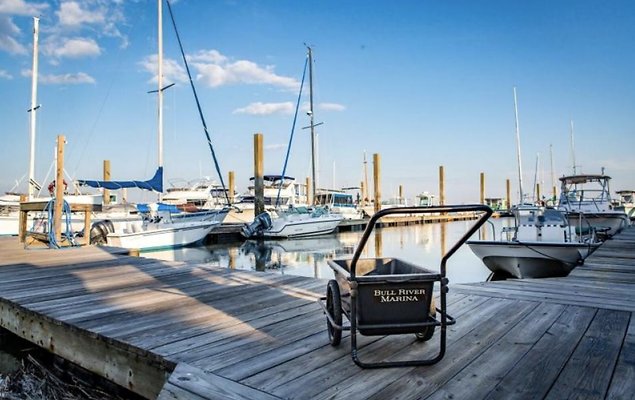 Screen Shot 2022-06-22 at 10.50.22 AM