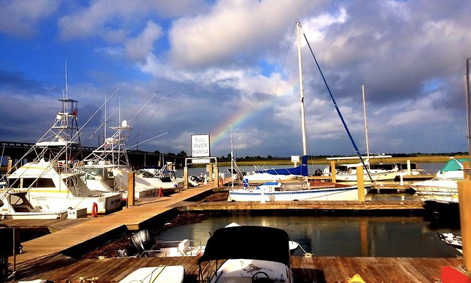 Screen Shot 2022-06-22 at 11.00.54 AM